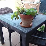 Arrabassada